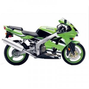 Billige 2000-2002 Kawasaki ZX6R Verkleidung