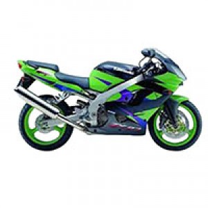 Billige 2002-2003 Kawasaki ZX9R Verkleidung