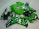 Grün Honda CBR 1000 RR 2008-2011 Motorrad Verkleidungen