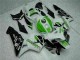Grün Honda CBR 600 RR 2005-2006 Motorrad Verkleidung Grün Honda CBR 600 RR 2005-2006 Motorrad Verkleidung
