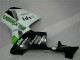 Grün Honda CBR 600 RR 2005-2006 Motorrad Verkleidungen Grün Honda CBR 600 RR 2005-2006 Motorrad Verkleidungen