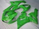 Grün Kawasaki ZX6R 2005-2006 Motorrad Verkleidungen & Plastik Grün Kawasaki ZX6R 2005-2006 Motorrad Verkleidungen & Plastik