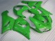 Grün Kawasaki ZX6R 2005-2006 Motorrad Verkleidungen & Plastik Grün Kawasaki ZX6R 2005-2006 Motorrad Verkleidungen & Plastik