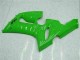 Grün Kawasaki ZX6R 2005-2006 Motorrad VollVerkleidungen & Plastik