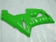 Grün Kawasaki ZX6R 2005-2006 Motorrad VollVerkleidungen & Plastik