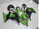 Grün Schwarz Kawasaki EX300 2013-2016 Motorrad Verkleidung Grün Schwarz Kawasaki EX300 2013-2016 Motorrad Verkleidung