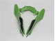 Grün Schwarz Kawasaki EX300 2013-2016 Motorrad Verkleidung Grün Schwarz Kawasaki EX300 2013-2016 Motorrad Verkleidung