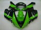 Grün Schwarz Kawasaki ZX6R 2005-2006 Motorrad Verkleidungen Grün Schwarz Kawasaki ZX6R 2005-2006 Motorrad Verkleidungen