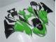 Grün Schwarz Kawasaki ZX6R 2009-2012 Motorrad Vollverkleidung Grün Schwarz Kawasaki ZX6R 2009-2012 Motorrad Vollverkleidung