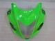 Grün Schwarz Suzuki GSXR 1300 Hayabusa 2008-2019 Motorrad Verkleidungen Grün Schwarz Suzuki GSXR 1300 Hayabusa 2008-2019 Motorrad Verkleidungen