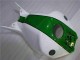 Grün Weiß Honda CBR 1000 RR 2004-2005 Motorrad Verkleidungen Grün Weiß Honda CBR 1000 RR 2004-2005 Motorrad Verkleidungen