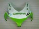 Grün Weiß Honda CBR 1000 RR 2008-2011 Motorrad Verkleidungen Grün Weiß Honda CBR 1000 RR 2008-2011 Motorrad Verkleidungen