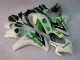 Grün Weiß Honda CBR 1000 RR 2008-2011 Motorrad Vollverkleidung Grün Weiß Honda CBR 1000 RR 2008-2011 Motorrad Vollverkleidung