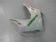 Grün Weiß Honda CBR 1000 RR 2008-2011 Motorrad Vollverkleidung Grün Weiß Honda CBR 1000 RR 2008-2011 Motorrad Vollverkleidung