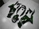 Grüne Flamme Kawasaki EX650 2006-2008 Motorrad Verkleidungen Grüne Flamme Kawasaki EX650 2006-2008 Motorrad Verkleidungen