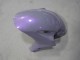 Billige Honda CBR1000RR Motorrad Verkleidung 2004-2005 - Chameleon Grau Dazz Perl Lila
