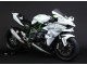 Billige Kawasaki Ninja H2 Motorrad Verkleidung 2015-2022 - Weiss Silber Grun