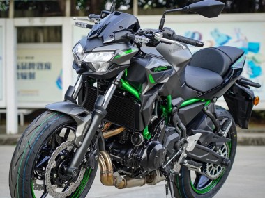Billige Kawasaki Ninja Z650 Motorrad Verkleidung 2020-2023 - Schwarz Grun