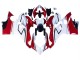 Billige Ducati Panigale V4 V4S Motorrad Verkleidung 2018-2019 - Weiss Rot Grun Glanzendes Schwarz