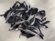 Billige BMW S1000RR Motorrad Verkleidung 2023-2024 - Glanzendes Schwarz Carbonfaser