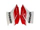 Billige Ducati 1299 Motorrad Verkleidung 2015-2020 - Weiss Rot Grun Matt Schwarz