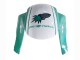 Billige Honda CBR600RR Motorrad Verkleidung 2005-2006 - Hellgrun Weiss Glanzendes Schwarz Joe Rocket