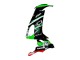Billige Kawasaki ZX10R Motorrad Verkleidung 2008-2010 - Grun Weiss Rot Schwarz Monster Elf 66