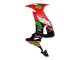 Billige Kawasaki ZX10R Motorrad Verkleidung 2008-2010 - Rot Grun Schwarz