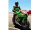 Billige Kawasaki ZX10R Motorrad Verkleidung 2011-2015 - Grun Gelb Weiss Schwarz Rot Pirelli