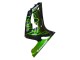 Billige Kawasaki ZX6R Motorrad Verkleidung 2003-2004 - Glanzendes Schwarz Grun Flamme