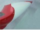 Billige Yamaha YZF 1000 R1 Motorrad Verkleidung 1998-1999 - Rot Weiss Schwarz Dunlop