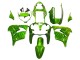Billige Kawasaki ZX9R Motorrad Verkleidung 2000-2001 - Grun Flamme