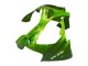Billige Kawasaki ZX9R Motorrad Verkleidung 2000-2001 - Grun Flamme
