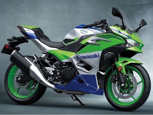 Billige Kawasaki Ninja 500 EX500R Motorrad Verkleidung 2024-2025 - Silber Grun Blau