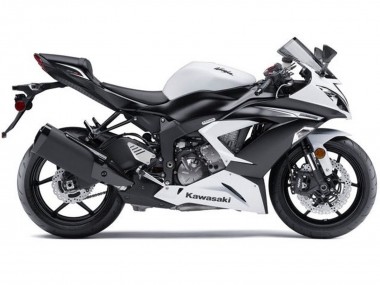 Billige Kawasaki ZX6R Motorrad Verkleidungen Kit 2013-2018 - Weiss Matt Schwarz