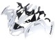 Billige Kawasaki EX650 Motorrad Verkleidung 2012-2016 - Weiss Schwarz