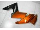 Orange Kawasaki EX650 2009-2011 Motorrad Verkleidungen Orange Kawasaki EX650 2009-2011 Motorrad Verkleidungen
