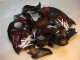 Schwarz rote Flamme Suzuki GSXR 1300 Hayabusa 1996-2007 Motorrad Verkleidung Schwarz rote Flamme Suzuki GSXR 1300 Hayabusa 1996-2007 Motorrad Verkleidung
