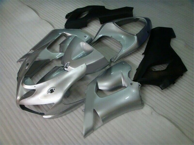 Silber Schwarz Kawasaki ZX6R 2005-2006 Motorrad Verkleidungen Silber Schwarz Kawasaki ZX6R 2005-2006 Motorrad Verkleidungen